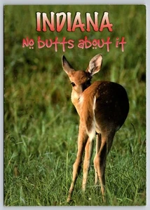 Postcard Indiana No Butts About It Fawn Baby Deer - Picture 1 of 2
