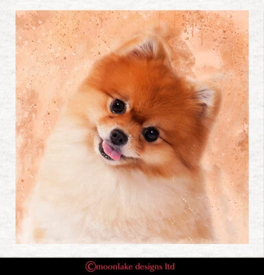 MOONLAKE FABRICS Hund - Pommerscher Stoff Bastelpaneele in 100% Baumwolle oder Polyester