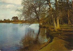 (ad82) Tarjeta postal de Petersfield - Hampshire - Imagen 1 de 2