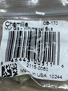 AUTHENTIC CHAMILIA WHIMSICAL SEA OB-170 MURANO GLASS STERLING SILVER CHARM BEAD - Picture 1 of 3