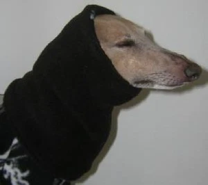 2 DOG SNOODS Hat GREYHOUND WHIPPET DOBERMAN PINSCHER SALUKI HOUND any colors - Picture 1 of 1