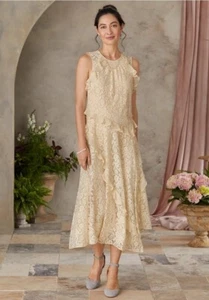 NEW* Sundance Women’s D'orsay Dress Small Sleeveless Lace Cream Ruffles Chiffon - Picture 1 of 11