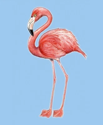 Colgante de lona de pared de interior y exterior flamenco rosa tropical brillante Foto 1 de 2