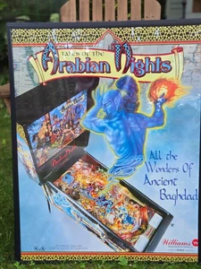 Williams Tales of the Arabian Nights Pinball Mach. 1996 Promo Poster 28" X 22" - Picture 1 of 1