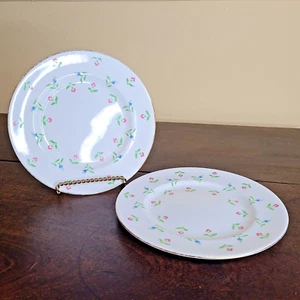 Royal Victoria Juego de 2 Platos de Ensalada Hueso Fino China Floral Borde Dorado Inglaterra 8" - Imagen 1 de 8