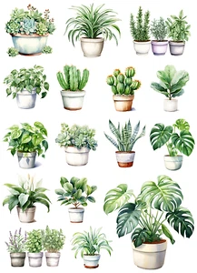 House Plants Sticker Sheet, Planner Stickers, Journal Stickers - Picture 1 of 2