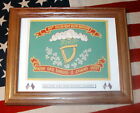 American Civil War Flag....69th New York..Irish Brigade