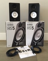 genelec 8030apm