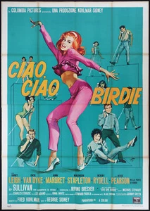 BYE BYE BIRDIE 1963 janet leigh Ann-Margret ROCK & ROLL 55"x78" MOVIE POSTER 4F - Picture 1 of 1