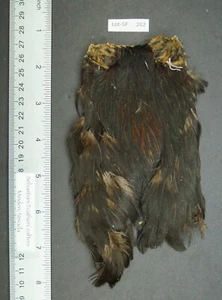 Lote de atado/artesanías de capa/cuello negro natural importado-SF 202 - Imagen 1 de 7