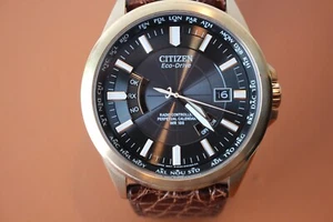 Citizen Eco-Drive Lt. Ed. Radio Controlled World Perpetual Calendar Men's Watch - Picture 1 of 12