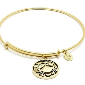 CHRYSALIS Crab Expandable Gold Stackable Bangle NWT Oceania Collection - Picture 1 of 8