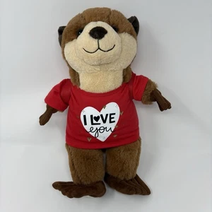 2008 Build-a-Bear 25th Anniversary River Otter Plüsch limitierte Auflage braun 15 Zoll - Bild 1 von 6