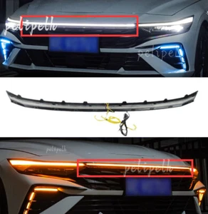Fits Hyundai Elantra 2024-2025 Front Hood Bumper Center Hood Grille Lamp Light - Foto 1 di 8