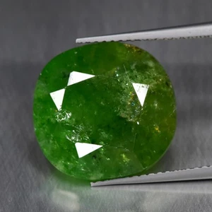 13.86Ct Gorgeous 100% Natural Green Tsavorite Garnet From Tanzania - Picture 1 of 1