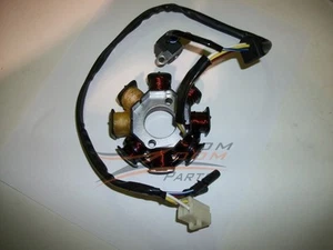 NEW Magneto Stator Coil Pick Up Chinese Scooter Moped Go Kart 50cc 50 139QMB - Imagen 1 de 1