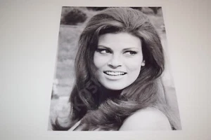 Raquel Welch pinup 8x10 glossy photo Busty Sexy Gorgeous Cleavage 1615 - Picture 1 of 1