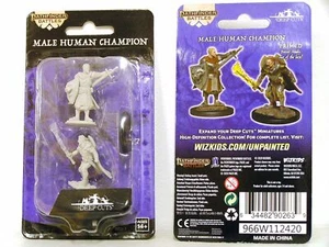 WZK90263 - Pathfinder Deep Cuts - Unpainted Miniatures - Human Champion Male - Bild 1 von 1