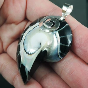 925 Sterling Silver Medium Large Black Nautilus Shell Pendant Jewellery NSP-597 - Picture 1 of 6
