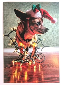 Juego/3 Tarjetas de Navidad de Productos de Papel Fantus con Sobres Luces para Perros 6.75" x 4.5" - Imagen 1 de 4