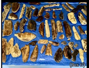 90 + Piece Beautiful Driftwood For Crafts - Picture 1 of 16