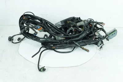 Harley Touring Electra Police 2004 FLHTPI cableado principal arnés telar Foto 1 de 4