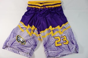 Basketball Shorts PURPLE & Gold EAGLES Sports Jersey Mesh SIZE MED #23, 12, 00 - Picture 1 of 6