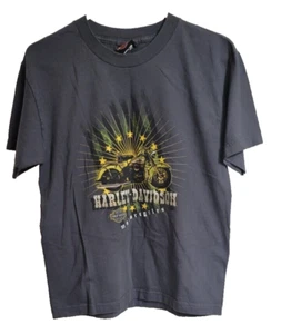 Vintage Youth Large DK Gray Harley Davidson Frontier Lincoln Nebraska Dealer Tee - Picture 1 of 4