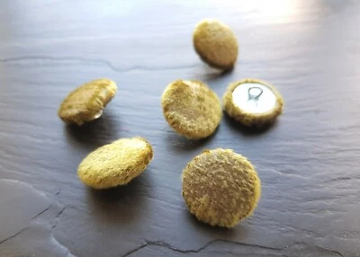 Citrus Green velvet fabric covered buttons 14, 19, 23, 25 or 31mm in packs - Image 1 of 4