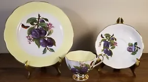 Taza de té/platillo/plato de postre ciruelas y mariposa Queen Anne Bone China vintage - Imagen 1 de 12