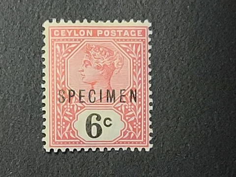 CEYLON Sri Lanka QUEEN VICTORIA QV SPECIMEN STAMP 6 CENTS MINT Cover