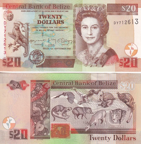 Belize 20 Dollars P 69 New date 2020 UNC Queen Elizabeth II Cover
