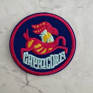 Capricorn Zodiac Sign Patch Navy Pink-Trim Sewing & Craft Embroidered Sew-On - Picture 1 of 3