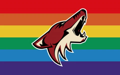 Arizona Coyotes Pride Flag 3x5ft Banner Polyester Ice Hockey Stanley Cup 008 Cover