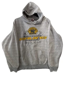 Sudadera con Capucha Providence Bruins Hockey Dodger Gris Grande AHL - Imagen 1 de 3