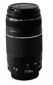 Canon EF 75-300mm f/4-5.6 III Teleobjektiv - Canon EF/EF-S - Bild 1 von 1
