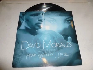 DAVID MORALES with LEA-LORIEN - How would U feel - 2004 UK 2-Track 12" Single - Picture 1 of 5