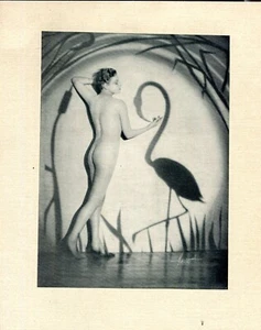 photographie d'art . nu artistique. photogravure - Bild 1 von 1