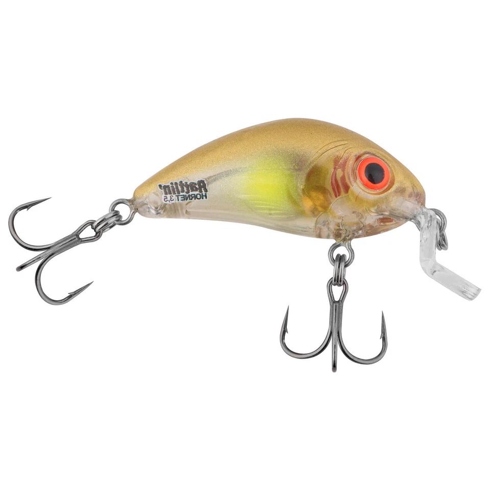 Salmo Wobbler Rattlin Hornet Shallow Clear Ayu Kunstköder Köder Barsch Rapfen - Bild 1 von 1