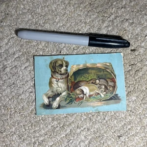 J. F. Whitson & Co Trade Card-Real Estate/Loan Office-Chicago, IL. U353 - Picture 1 of 7