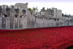 Tower of London poppy Blood Swept Lands and Seas of Red Photograph Print - Picture 1 of 1