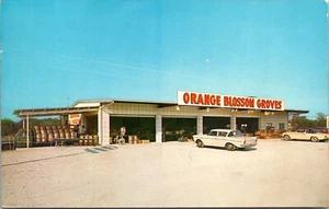 Postal Clearwater Florida de Orange Blossom Groves Store autos antiguos - Imagen 1 de 2