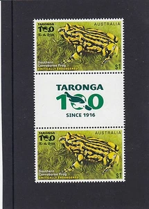 Par de canaletas de ranas corroboree vida silvestre en peligro de extinción Australia 2016 montada sin montar o nunca montada - zoológico de Taronga - Imagen 1 de 1