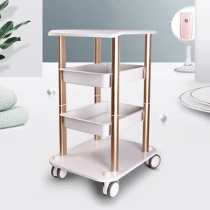 Two Tiers Beauty Salon Stand Rolling Cart SPA Beauty Machine Holder Trolley New - Picture 1 of 20