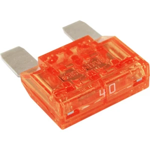 Blue Sea 5139 40AMP MAXI Fuse - Picture 1 of 1