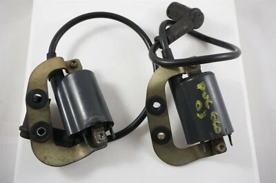 02-06 DUCATI SUPERSPORT MONSTER 400 620 800 900 BOBINAS DE ENCENDIDO CABLES Foto 1 de 3