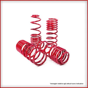 Kit Molle Sportive Ford Escort III/IV 1.1/1.6/Diesel/RS Turbo/XR3i 60/60mm MTS - Imagen 1 de 1