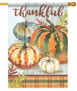 Colorful Pumpkins with Plaid House Flag - Picture 1 of 1