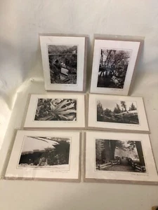 Wm. D Meyer Photography Moods of the Landscape 6 Blank Note Cards & Envelopes - Picture 1 of 12