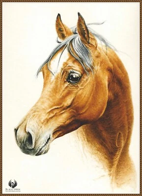 HORSE  258 Chart Counted Cross Stitch Pattern - Image 1 of 4
